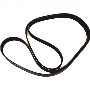 Serpentine Belt